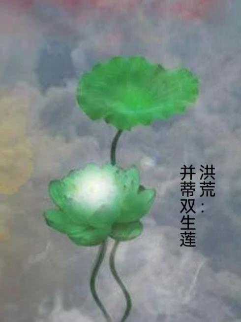 洪荒并蒂双生莲小说免费